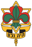 logo-home-page19.svg